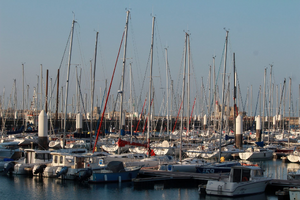 Toiletteur Le Havre